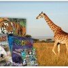 Half of Zoobooks or Zootles Magazine | $15 for a Year or $25 for Two Years