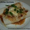 Slow Cooker Showcase: Crockpot Chicken Enchiladas