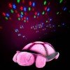 Sweet Dreams Nite Light Turtle $12.98 Shipped ($30 value!)