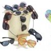 $1 Sunglasses and Flip Flops at Toys R Us/Babies R Us Today
