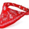 Adjustable Bananda Pet Collar just $2.68 SHIPPED