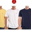 3 Ralph Lauren Polo Tees for the Price of 1 + FREE Shipping!