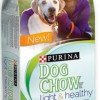 FREE Sample of Purina Dog Chow Light & Healthy
