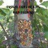Frugal Fun with Kids: Backyard Birdfeeders