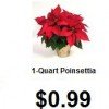 Black Friday 2013: Lowe’s Home Improvement