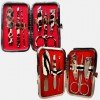 6 Piece Animal Print Manicure Set in Carry Case $6.99 SHIPPED