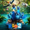 RIO 2 in Theaters April 11 | See the trailer here