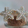 Pearl and Rhinestone Starfish Earrings $3.65 Shipped