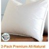 2 Pack Premium All Natural Feather & Down Pillows $19.99