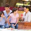 Picnic Fun Sweepstakes