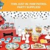 Paw Patrol Birthday Party Supplies