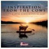Chick-fil-a 2016 Cow Calendar and FREE Item Card GIVEAWAY (ends 2/1)