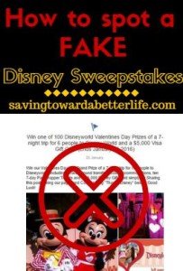 How to Spot a FAKE Disney Vacation Sweepstakes