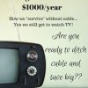 Ditch Cable and save $1000/year | Yes, You Can Do It!