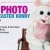 FREE Picture with Easter Bunny at Bass Pro Shops March 19-27, 2016