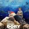 Finding DORY in theaters June 17, 2016 | Coloring & Activity Sheets to Print