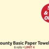 Winn-Dixie: Bounty Basic Paper Towel 6 Rolls just $3.00