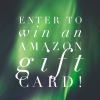 $300 Amazon Gift Card Giveaway (ends 8/17)