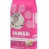 Publix: IAMS Premium Cat Food 3.5lb bag $1.00 after coupon!