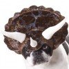 Animal Planet Triceratops Dog Halloween Costume $7.25