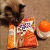 Friskies Pull ‘n Play Cat Treat Play Pack for the #MostPlayfulCat!