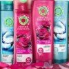 Target: Herbal Essences Shampoo and Conditioner $.50 each thru 10/22