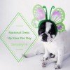 January 14, 2017 – National Dress Up Your Pet Day (Pet Costume Ideas Here!)