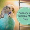January 5th – National Bird Day & $20 off $100 Purchase at PetSmart