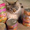 Stock Up @PetSmart and save on Friskies #PetSmartCart #ad