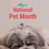 May is National Pet Month | Celebrate with Savings **UPDATED**