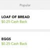 Checkout51 ANY BRAND Bread & Eggs Cash Back (great to use at Aldi!)