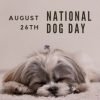 National Dog Day August 26th | Sales, Safety & a Homemade Dog Biscuit Recipe
