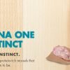FREE Purina Cat Food Sample
