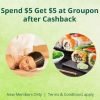 TopCashBack: $5 Cash Back from Groupon! (ends 8/13)