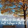 Road Trip Idea! Interactive Fall Foliage Map and Where to Camp Along the Way