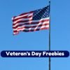 Veteran’s Day 2020: List of Discounts & Freebies for Veterans and Active Military