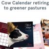 The Chick-Fil-A Cow Calendar is going away in 2019 … and that’s okay!  I’ll Tell You Why…