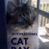 Happy International Cat Day – August 8, 2023! Click for Cat Deals and Cat Pics!