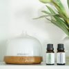 Simply Earth – Pure, Natural Essential Oils at Affordable Prices – NO MLM!