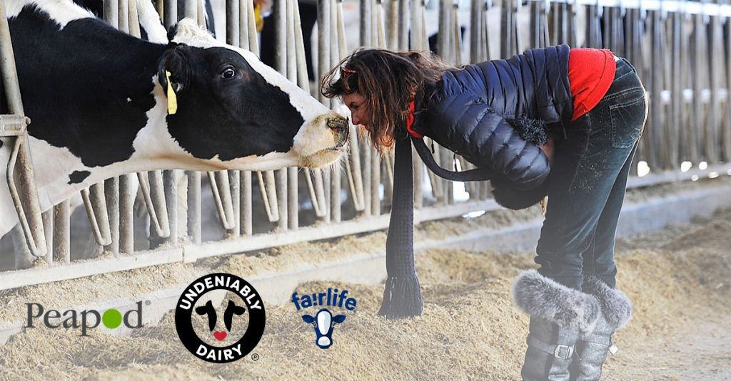 Peapod Grocery Delivery: Save $6 on Fairlife Dairy thru 11/9 #TwoMilksInAPod #CollectiveBias #ad
