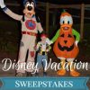 **Updated** Disney Vacation Sweepstakes List for November 2018
