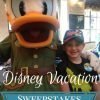 *Updated* Disney Vacation Sweepstakes List for February 2019
