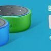 Echo Dot Kids Edition Buy One Get One FREE for a limited time