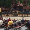 Our 2019 Georgia Renaissance Festival Trip and YOUR Absolute LAST CHANCE to GO this weekend!