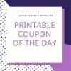 Printable Coupon of the Day: $1 off (2) noosa yoghurts!