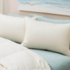 FREE Mattress Firm Pillow for Medical Workers | 1,000 Given Away Every Day at 10am CST!