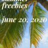 National Flip Flop Day June 19 and First Day of Summer June 20 FREEBIES & Deals