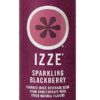 PRIME MEMBER DEAL: Izze Sparkling Blackberry 24 ct UNDER $10 Shipped!