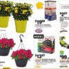 Home Depot Labor Day Sales: $1 Mums, $5 Hanging Baskets and more