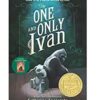Amazon: Buy 2 Get 1 Free BOOKS | Lots of our favorite Middle Grade Chapter Books